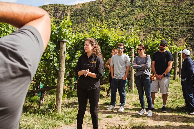 Queenstown Wine Sampler Tour - Wine and Tastings