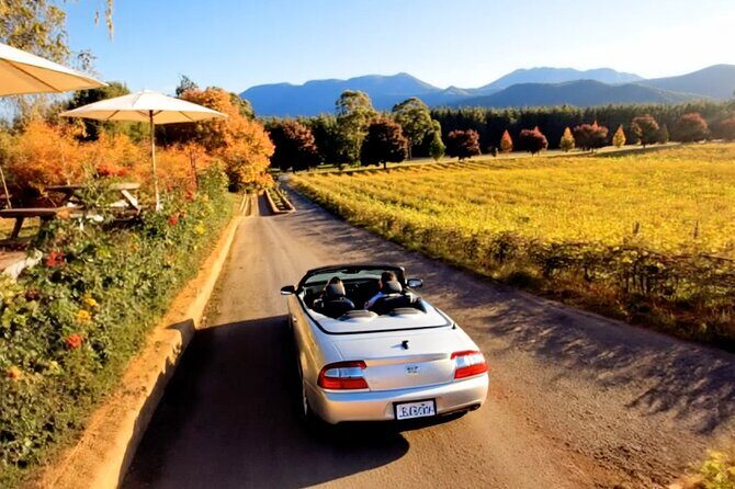 Queenstown Wine Tour - Self Guided Audio Tour (Driving) - Practical Considerations