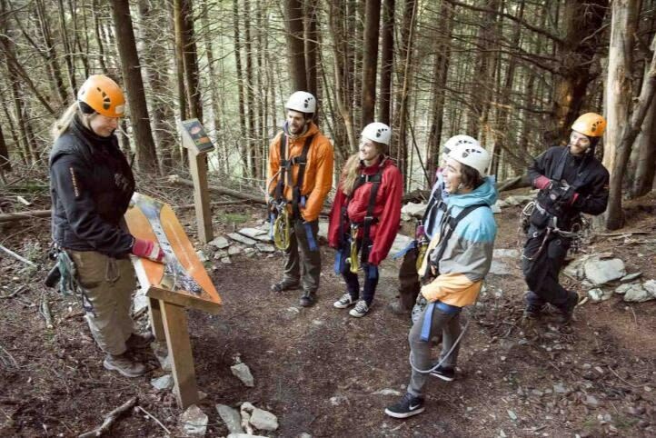 Queenstown Zipline Experience by Ziptrek - Is it good value for your Queenstown budget?
