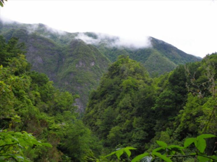 Queimadas Caldeirão Verde Walking tour with guide - What’s Included and What’s Not