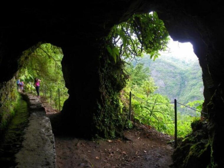 Queimadas Caldeirão Verde Walking tour with guide - The Experience from Tour Reviews