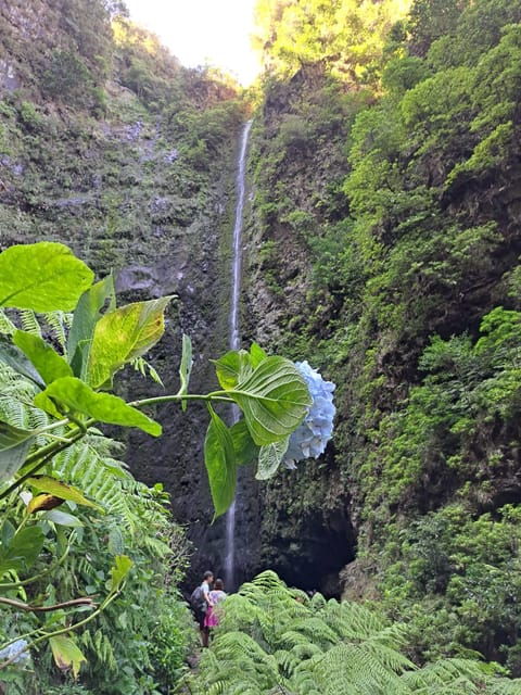 Queimadas Caldeirão Verde Walking tour with guide - Who Would Love This Tour?