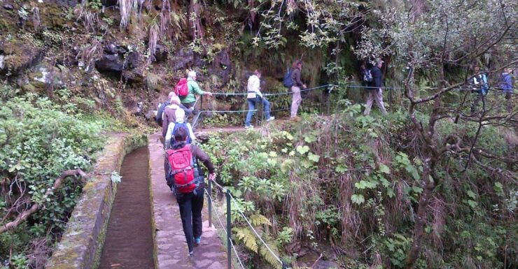 Queimadas Natural Park 5-Hour Guided Hike - Activity Duration and Languages Offered