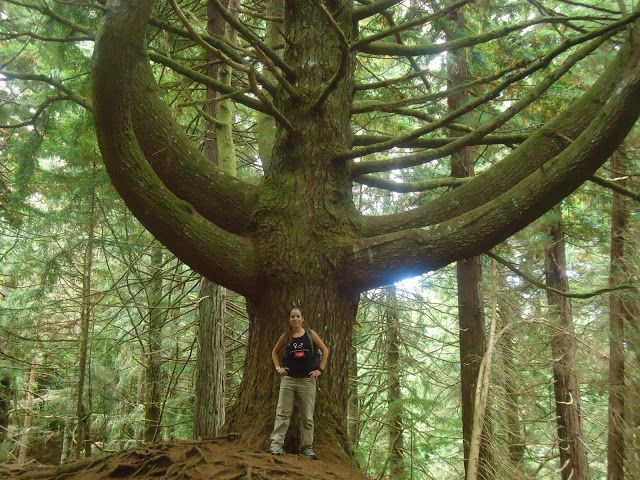 Queimadas Natural Park 5-Hour Guided Hike - Inclusions and Highlights of the Hike