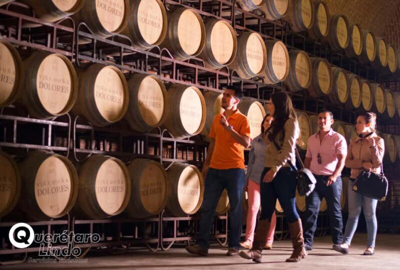 Querétaro: Art, Cheese and Wine Route - The Practicalities: What You Need to Know