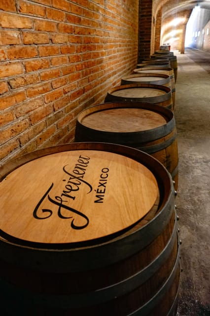 Querétaro: Art, Cheese and Wine Route - Customer Reviews and Feedback