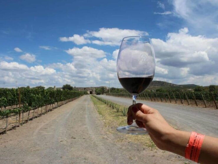Queretaro: Art, Cheese and Wine to the Maximum Route - Good To Know