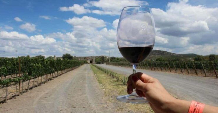 Queretaro: Art, Cheese and Wine to the Maximum Route - Pricing and Inclusions
