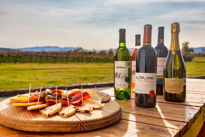 Queretaro: Art, Cheese and Wine to the Maximum Route - Cigar Factory Visit
