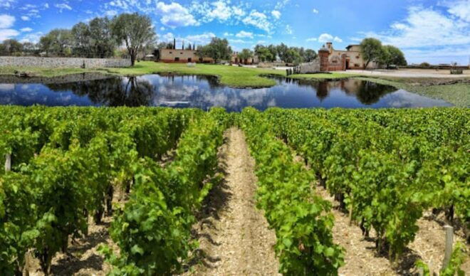 Queretaro: Art, Cheese and Wine to the Maximum Route - Recommended Attire
