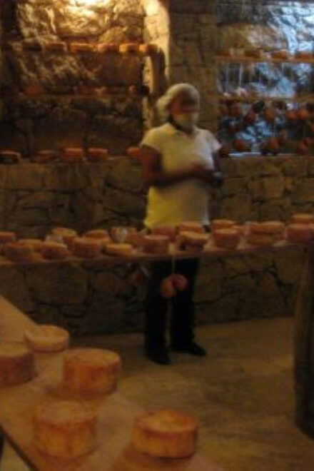 Querétaro: Cheese and Wine Tasting Tour - Languages Offered