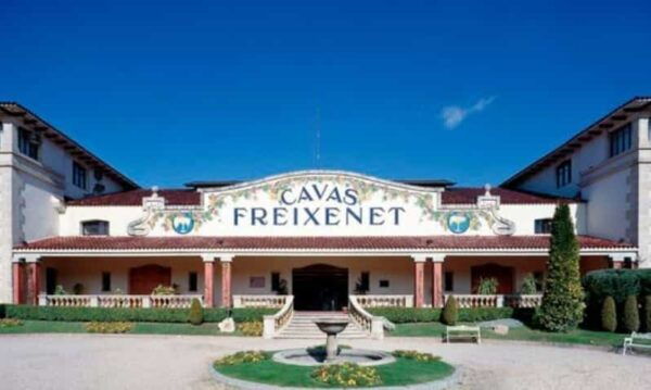 Querétaro: Cheese and Wine Tasting Tour - Inclusions