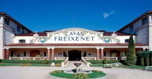 Querétaro: Cheese and Wine Tasting Tour - Frequently Asked Questions