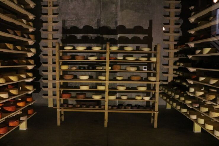 Querétaro: Cheese, Wine, and Tobacco Tour - Tour Duration and Cancellation Policy