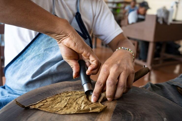 Querétaro: Cheese, Wine, and Tobacco Tour - Experience Highlights and Activities