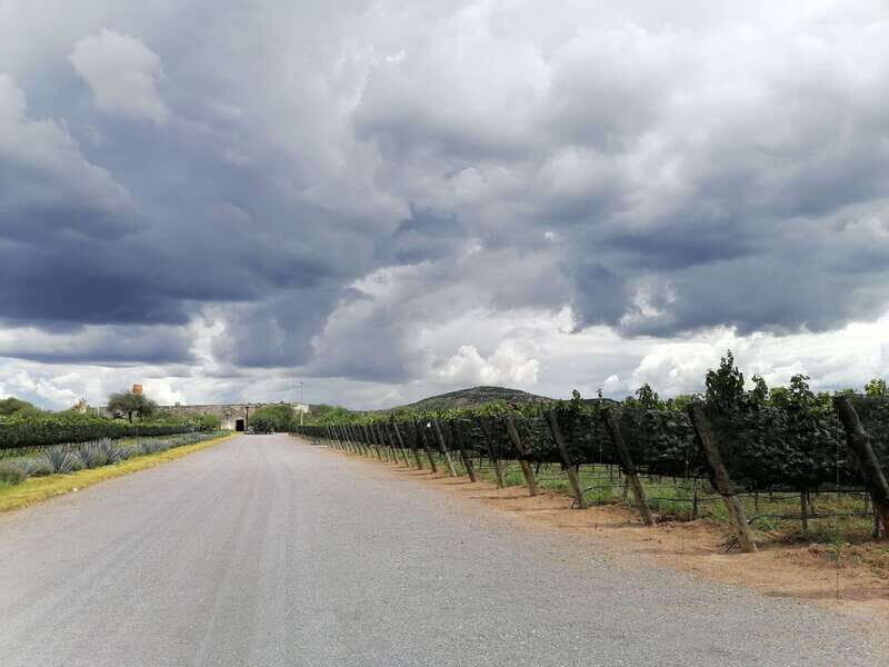 Querétaro: Hacienda Atongo Experience Tour - A Deep Dive into the Hacienda Atongo Experience