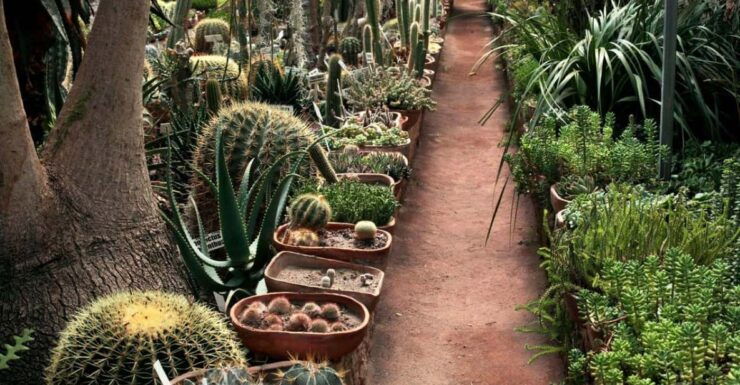Queretaro: Magical Towns Bernal and Cadereyta De Montes - Itinerary Highlights