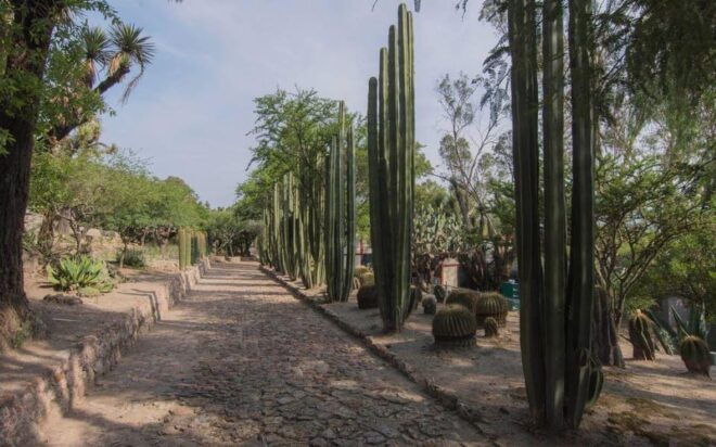 Queretaro: Magical Towns Bernal and Cadereyta De Montes - Botanical Garden of Cacti and Succulents