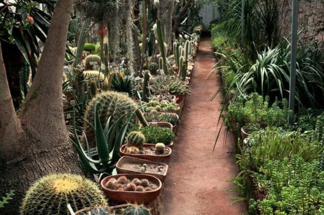 Queretaro: Magical Towns Bernal and Cadereyta De Montes - Ex-Hacienda Tovares