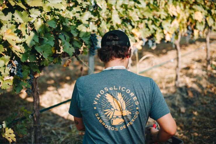 Querétaro: Rural Distillery Wine & Cider Tasting Tour - Tour Duration and Guide Availability