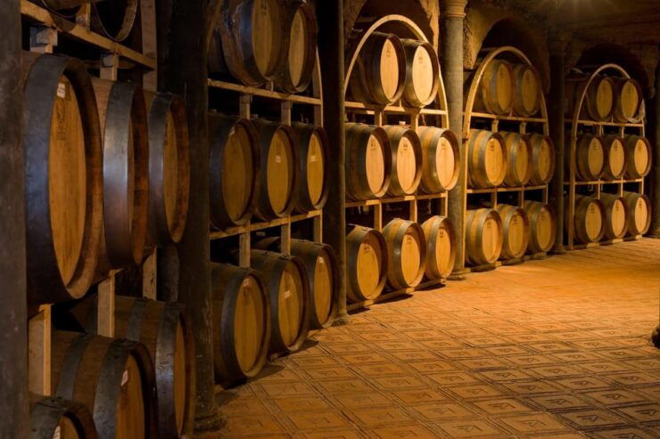 Querétaro: San Miguel & Wine In A Day. - Itinerary Details