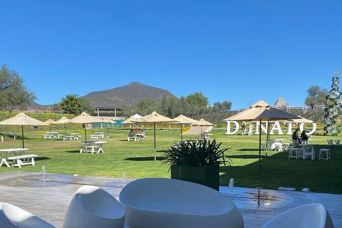 Queretaro Wine Experience - An In-Depth Look at the Queretaro Wine Experience