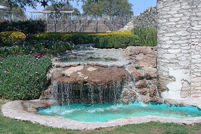 Queretaro Wine Experience - Final Thoughts