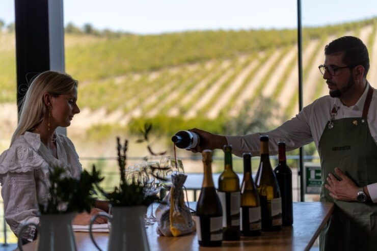 Quetzal Expert - Winery Experience in Gravity