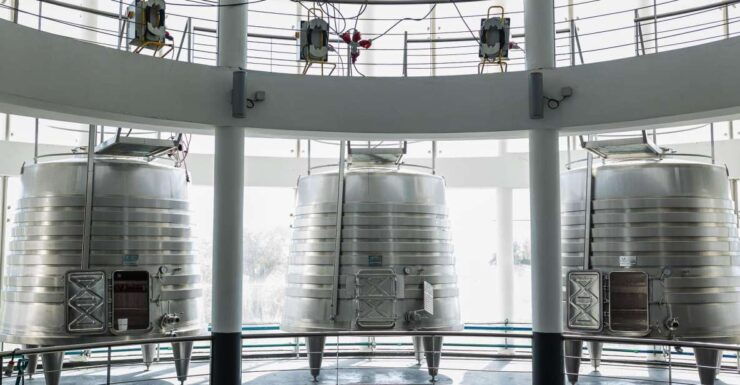 Quetzal Expert - Wine Tasting With Alentejo Products