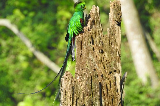 Quetzal Tour on Lake Atitlan - Cancellation Policy
