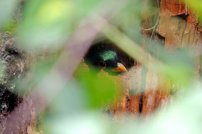 Quetzal Tour on Lake Atitlan - Reviews