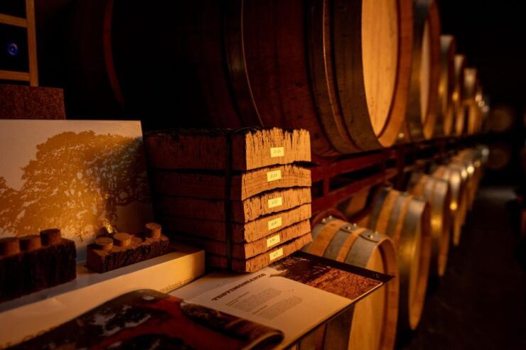 Quetzal Wine Workshop - Activity Details