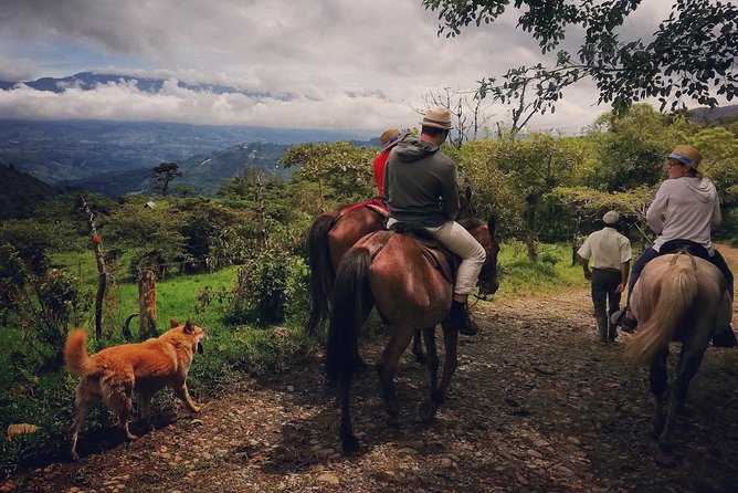 Queveri Horseback Riding Tours - Tour Details