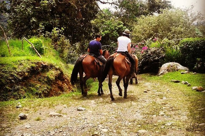 Queveri Horseback Riding Tours - Participant Requirements