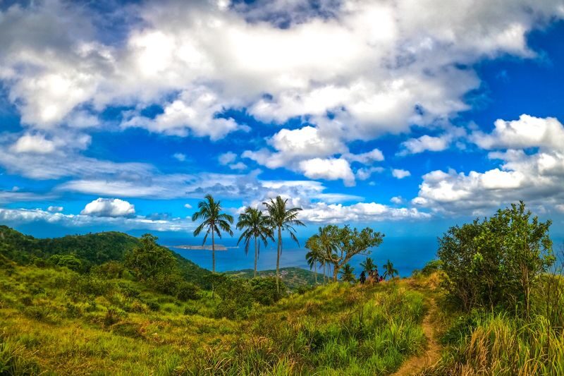 Quezon City Mt. Gulugod Baboy Full-Day Private Tour - From the summit to the Anilao coast