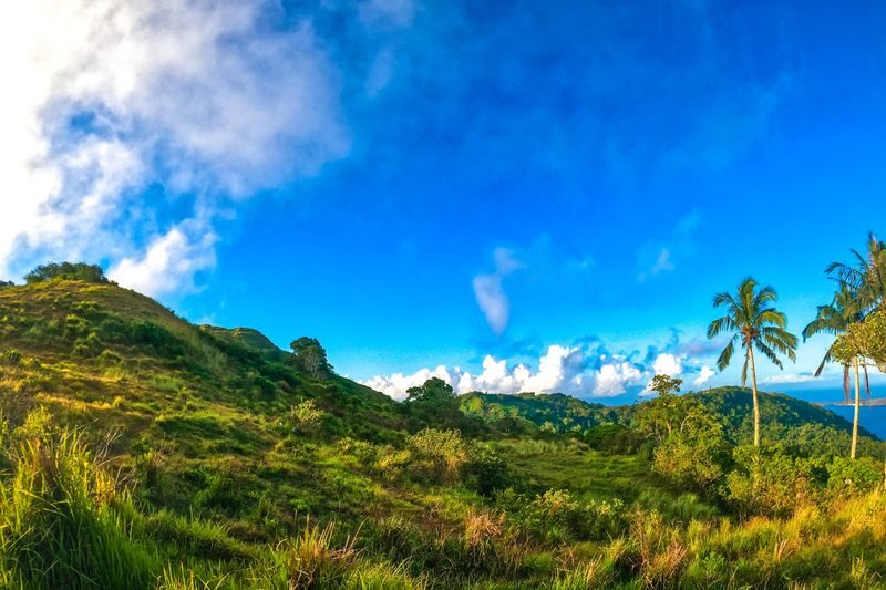 Quezon City Mt. Gulugod Baboy Full-Day Private Tour - What the package includes, and what it does not