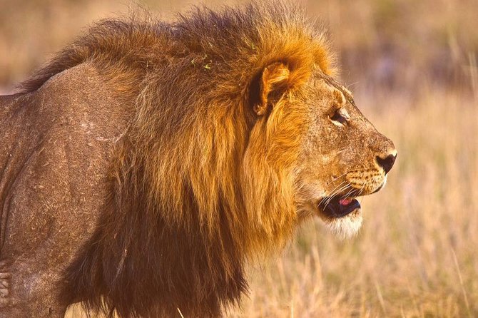 Quick African Break in Namibia - Good To Know
