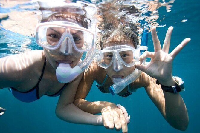Quick & Easy Snorkel Trip from Kailua Pier - Good To Know