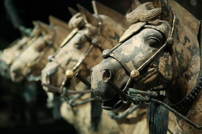 Quick Tour to Xian Terracotta Warriors From Shanghai by Air in One Day - Tour Inclusions