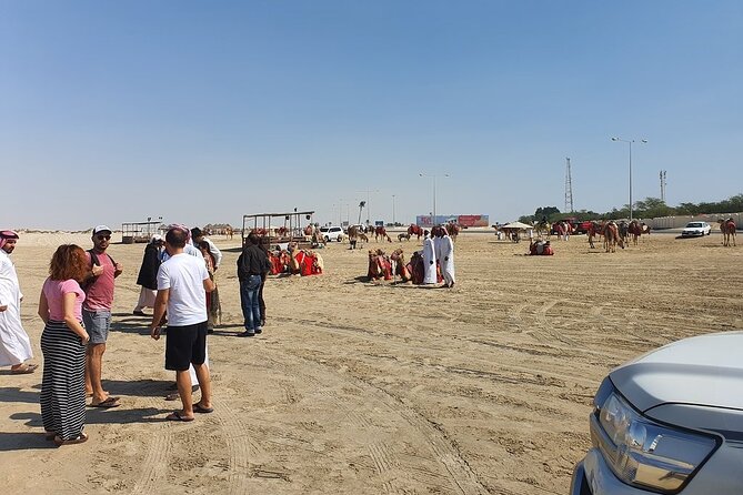 Quickie to the Desert (Private Desert Tour) - Optional Activities and Experiences