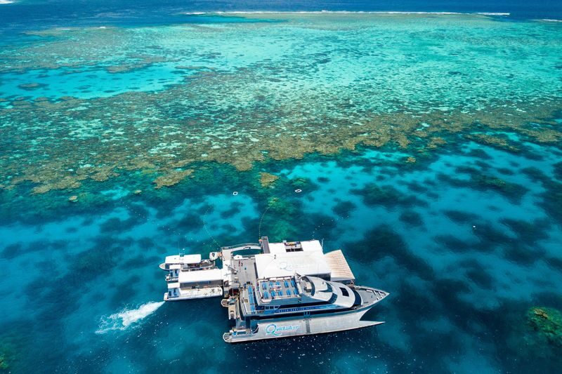 Quicksilver Outer Barrier Reef Full Day Cruise from Port Douglas - At a glance
