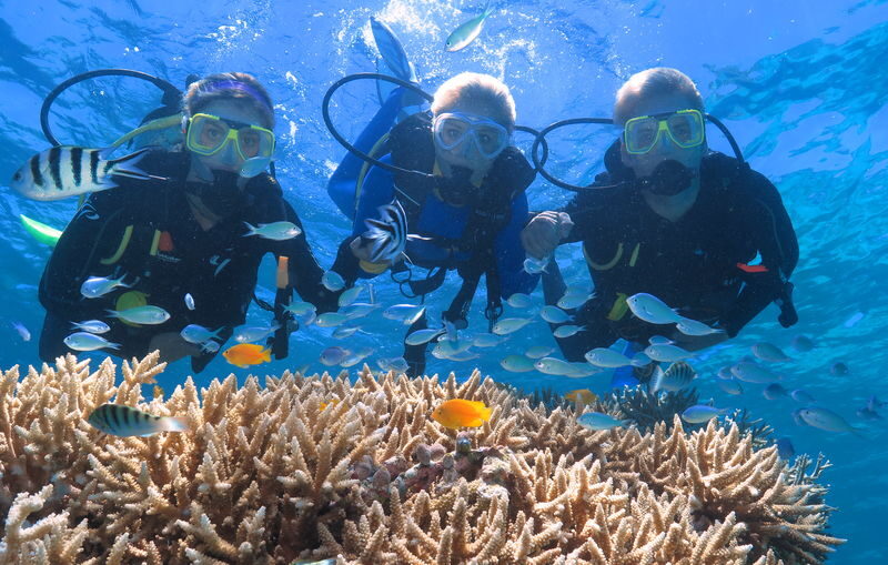 Quicksilver Outer Barrier Reef Full Day Cruise from Port Douglas - Port Douglas to Agincourt Reef