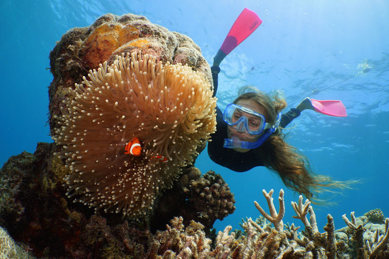 Quicksilver Outer Barrier Reef Full Day Cruise from Port Douglas - What the price gets you