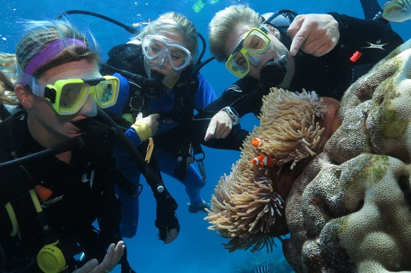 Quicksilver Outer Barrier Reef Full Day Cruise from Port Douglas - Should you book the Quicksilver Outer Barrier Reef cruise?