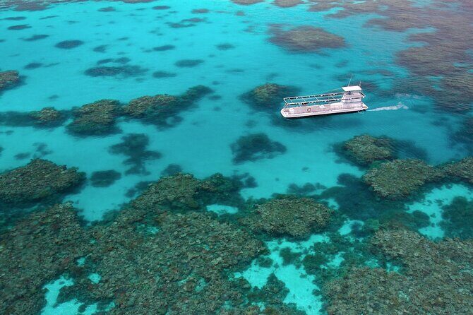 Quicksilver Outer Great Barrier Reef Snorkel Cruise from Palm Cove - Practical Considerations and Tips