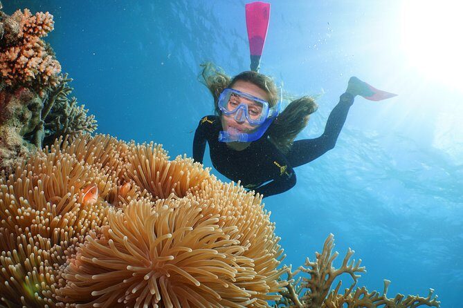Quicksilver Outer Great Barrier Reef Snorkel Cruise from Palm Cove - Final Thoughts