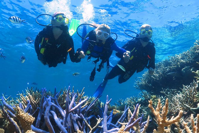 Quicksilver Outer Great Barrier Reef Snorkel Cruise From Palm Cove - Common Questions
