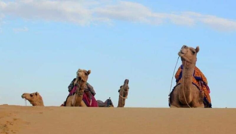 Quiet & Peaceful Desert Experience At Luxury Desert Camp - Final Thoughts: Who Is This Experience For?