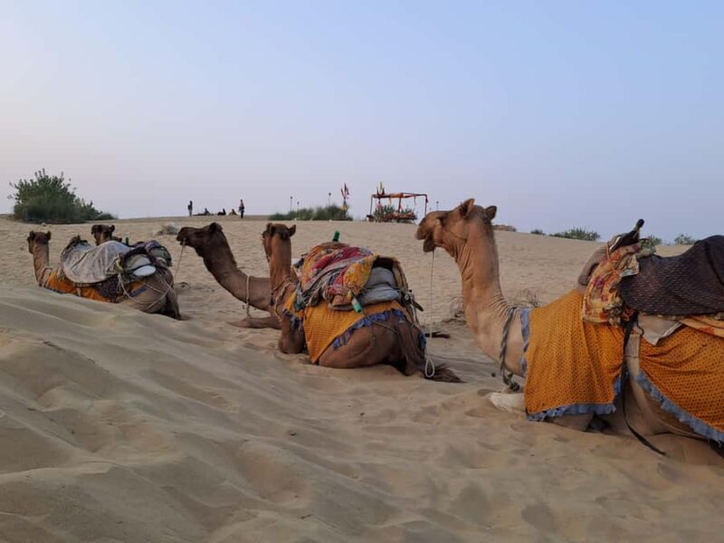 Quiet & Peaceful Desert Experience At Luxury Desert Camp - Night Under the Stars