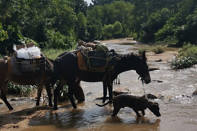 Quimixto & Los Arcos Adventure Tour - Boat Ride to Quimixto